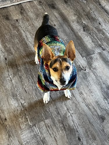 Customer photo review of Playa Poncho - Surprise Color