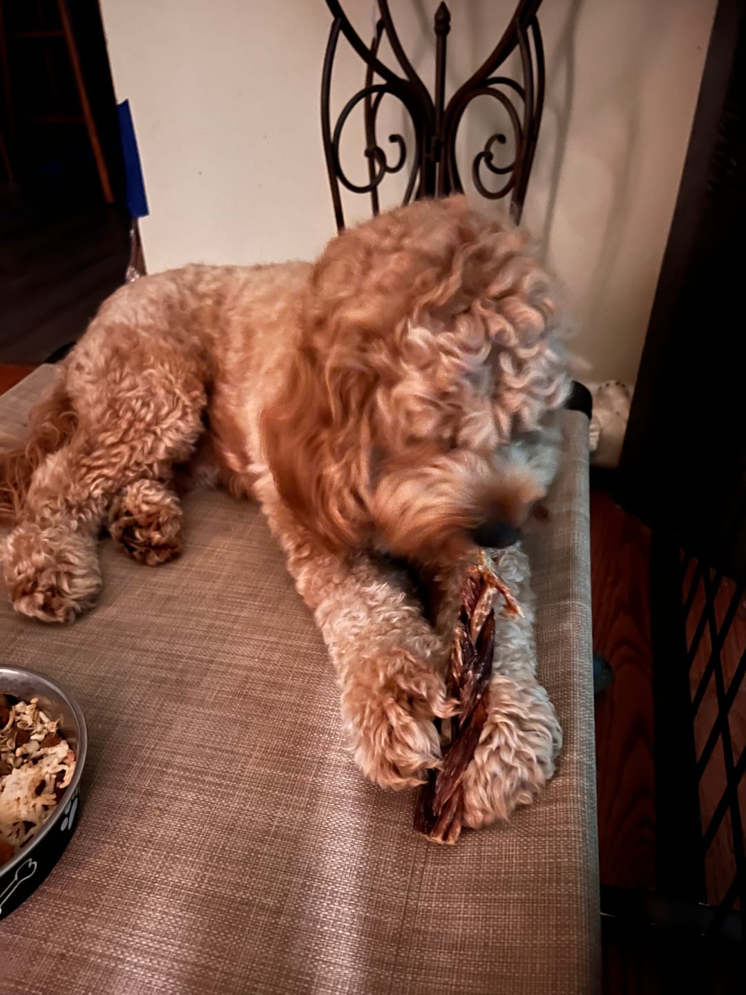 Customer photo review of 12 Inch Braided Jerky Stick