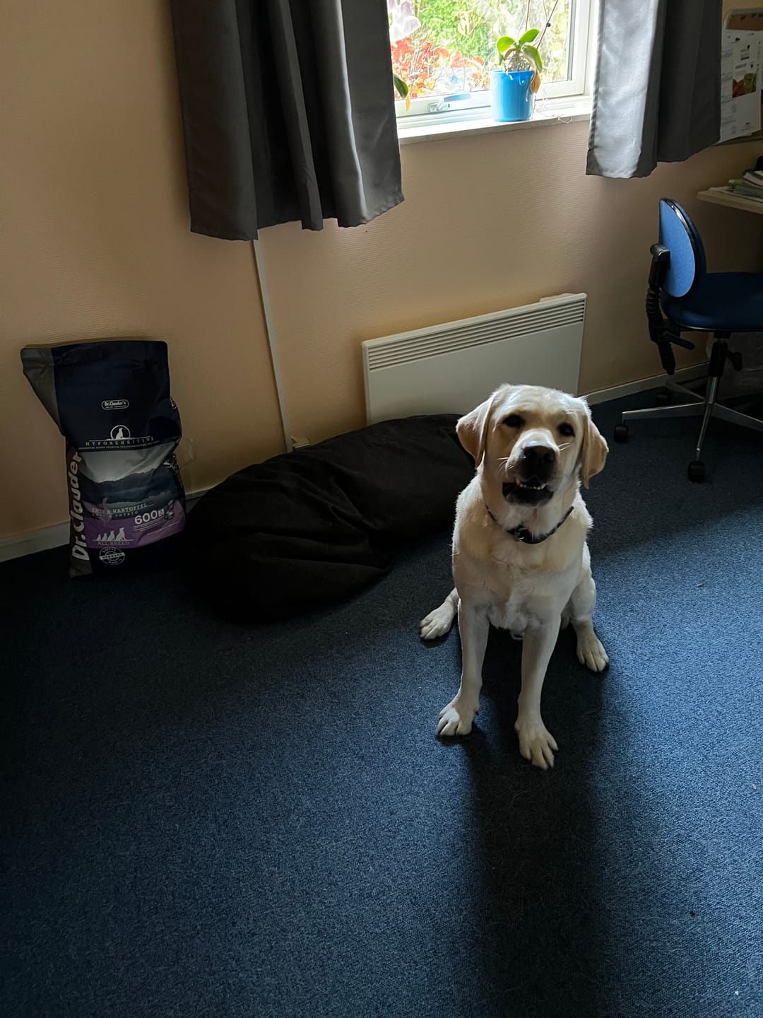Customer photo review of Dr.Clauder's Hyposensitive All Breed And & Kartofler 11,5kg