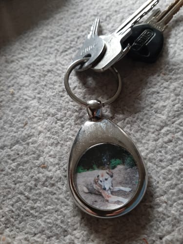 Customer photo review of Schlüssel- Anhänger mit Foto „Tropfen“ + Einkaufswagen Chip