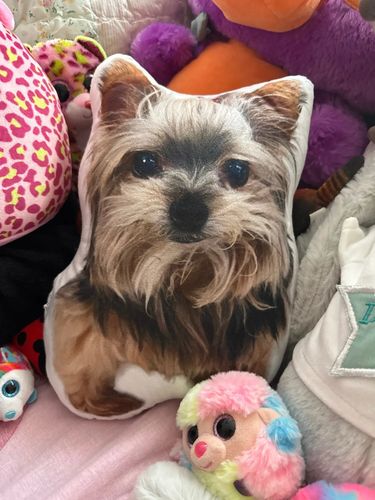 Customer photo review of PortaritPillow - Personalisierbares Kissen