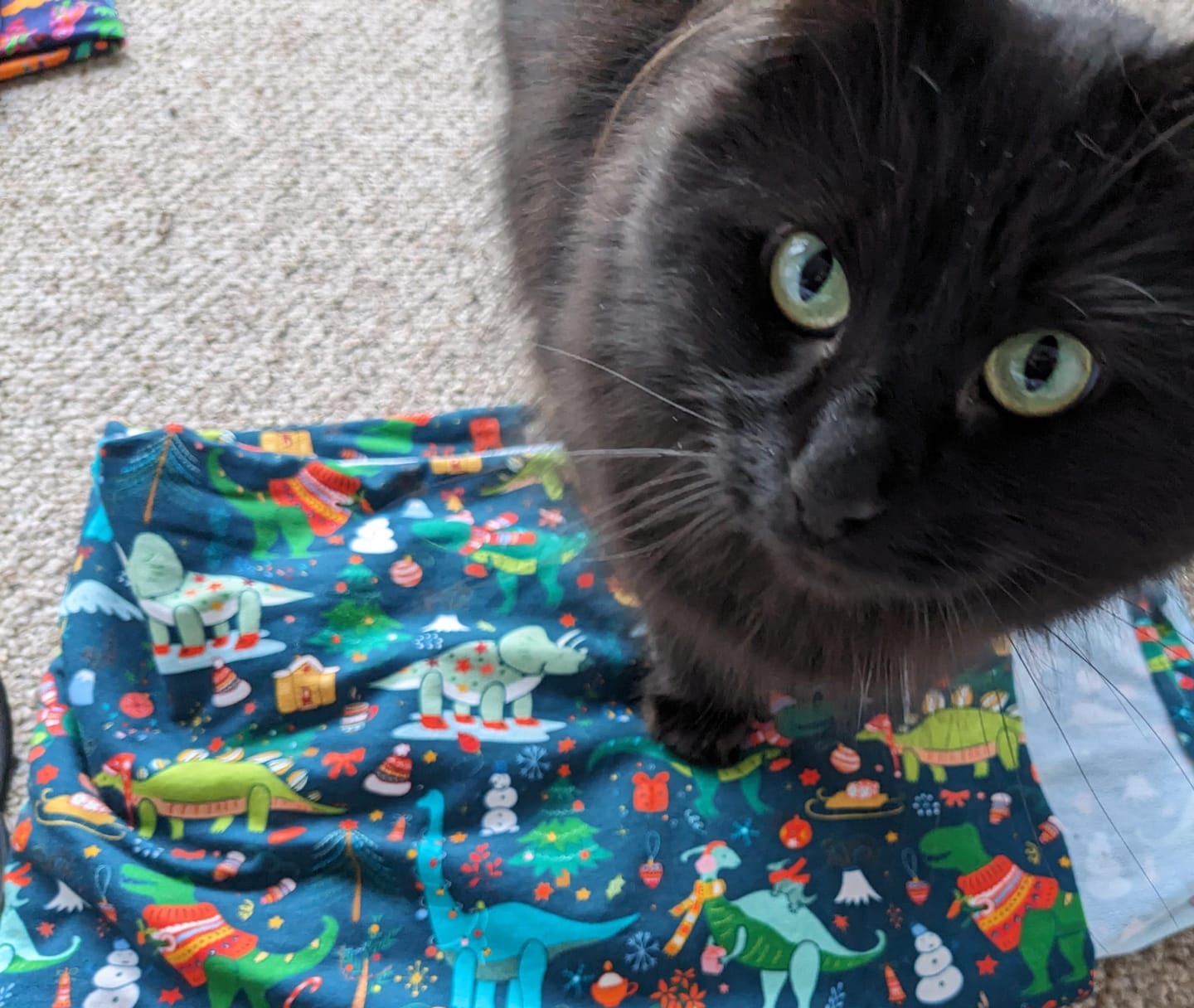 Customer photo review of Christmas Dinosaurs on Dark Teal French Terry Fabric