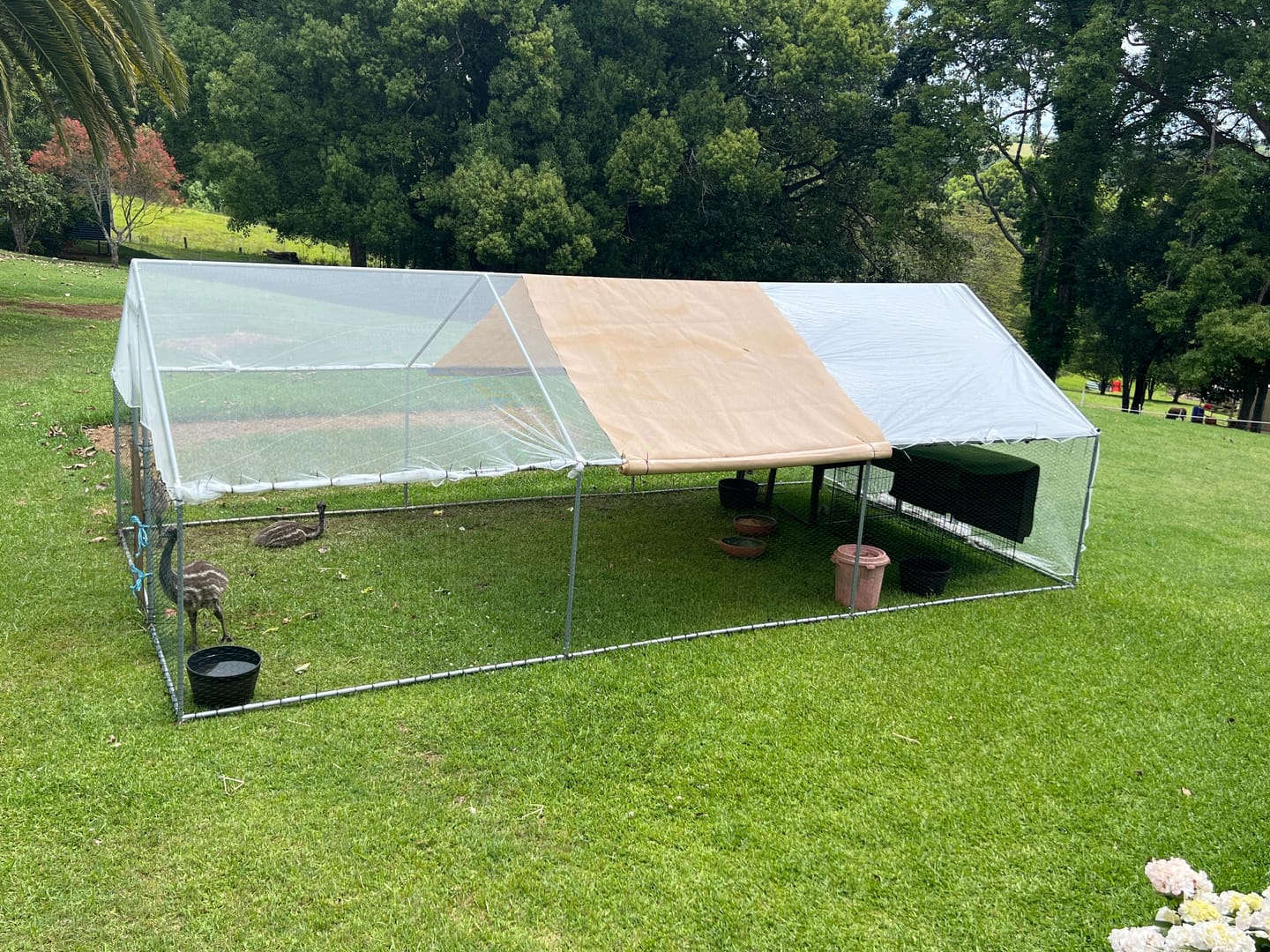 Customer photo review of Chicken Coop Cage Run Rabbit Hutch Large Walk In Hen Enclosure Cover 3mx6m