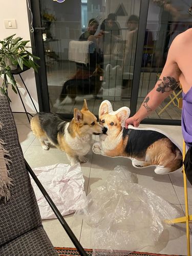 Customer photo review of PortaritPillow - Personalisierbares Kissen