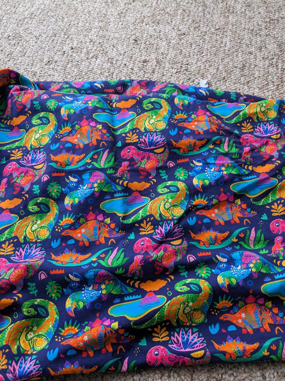 Customer photo review of Multicoloured Dinosaurs on Navy French Terry Fabric