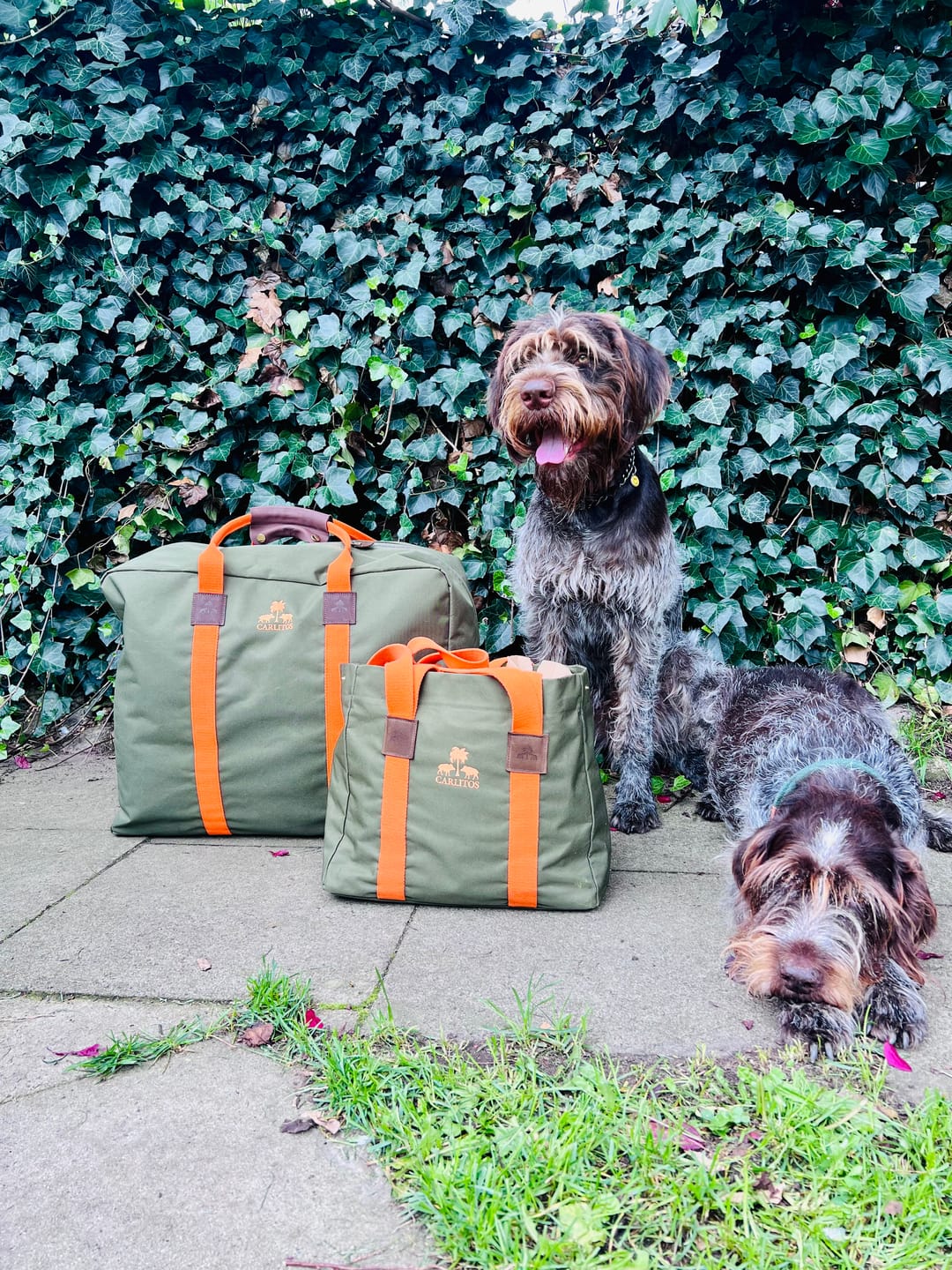 Customer photo review of Cargobag HUNTING deluxe KODURA -KHAKI- mit orangem Gurtband