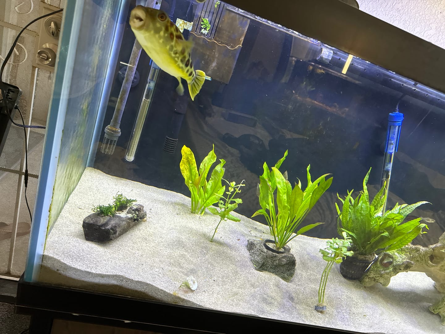 Customer photo review of Scuba Contactless Heaters