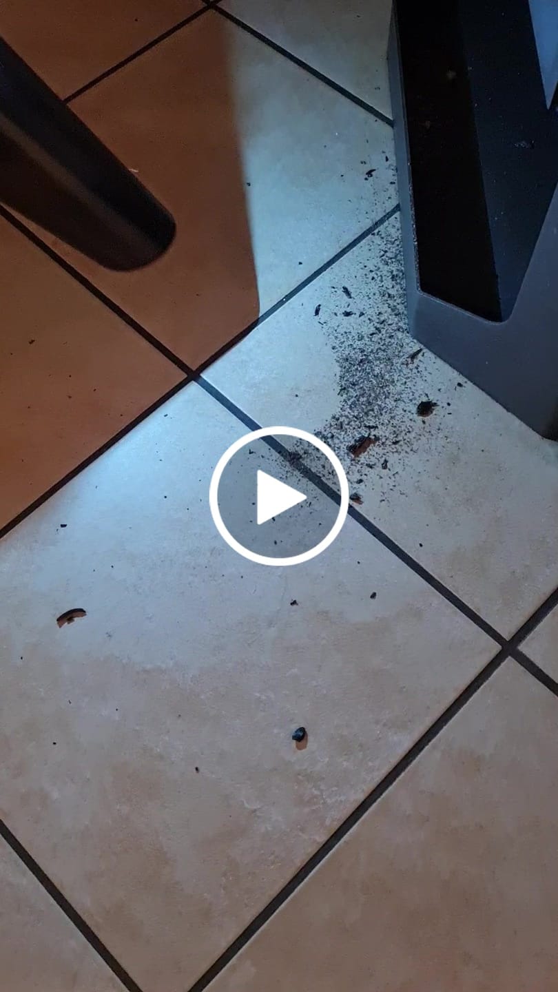 Customer video review of Leistungsstarker Akku-Handstaubsauger / Beutelloser 9500Pa Handstaubsauger für Nass & Trocken / Handsauger mit 2600mAh Akku & LED-Leuchte