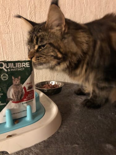 Customer photo review of Croquettes riches en poissons blancs frais (chat stérilisé)