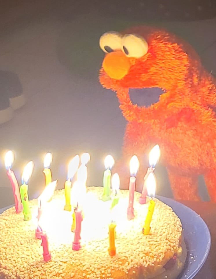 Customer photo review of Elmo Marionnette Sesame Street