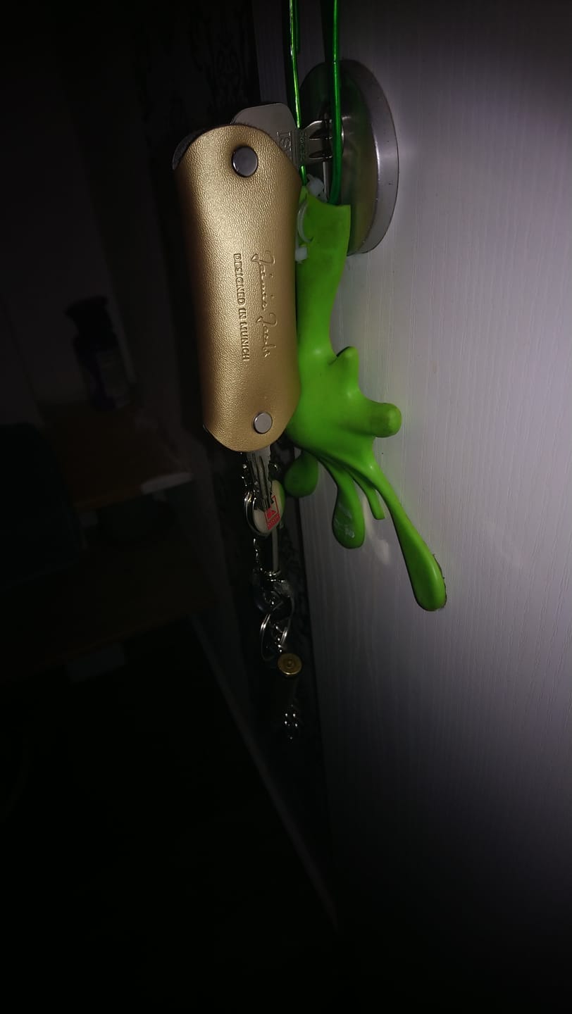 Customer photo review of Key Boy - Key Organizer