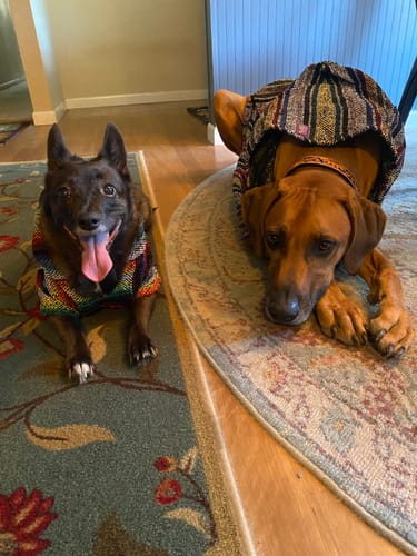 Customer photo review of Playa Poncho - Surprise Color