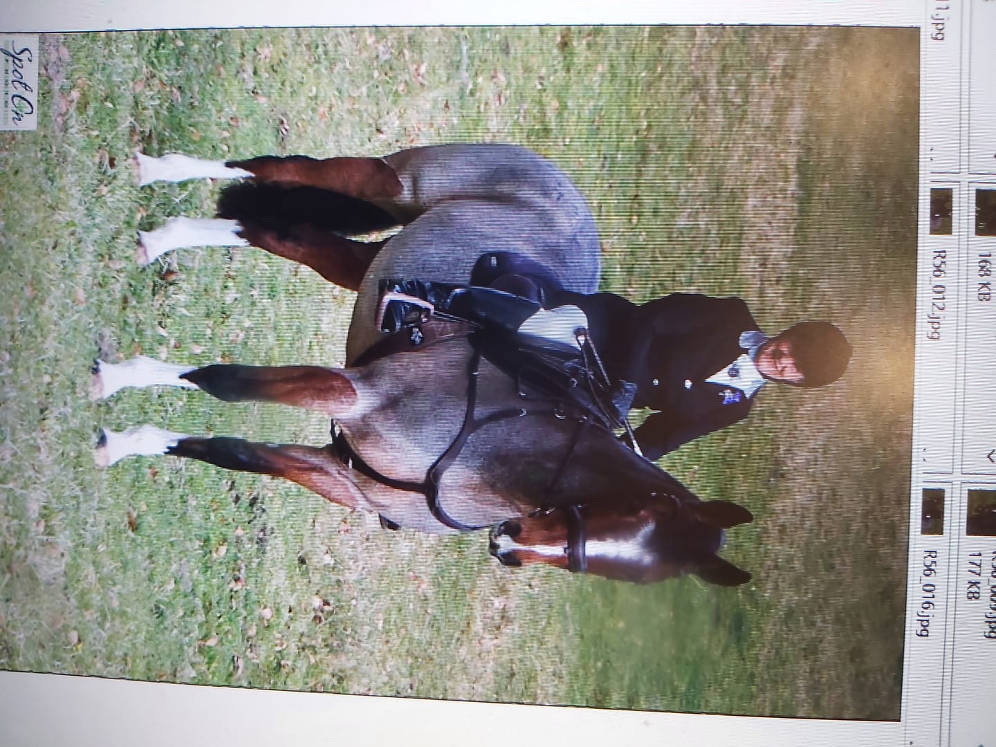 Customer photo review of Digestive VM - Equine Minerals & Vitamins
