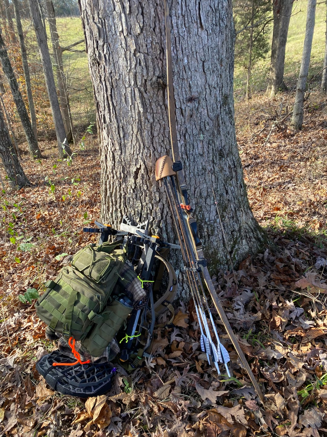 Customer photo review of D'Acquisto Series Hang-On .5 / Public Land Stand ™