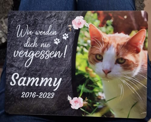 Customer photo review of Katzen Gedenktafel mit Foto & Spruch (UV- & Wetterfest)