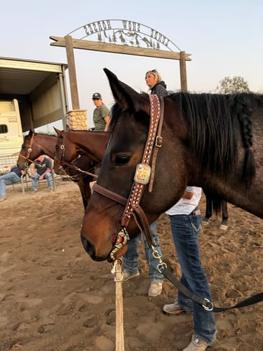 Customer photo review of Headstall Style 1