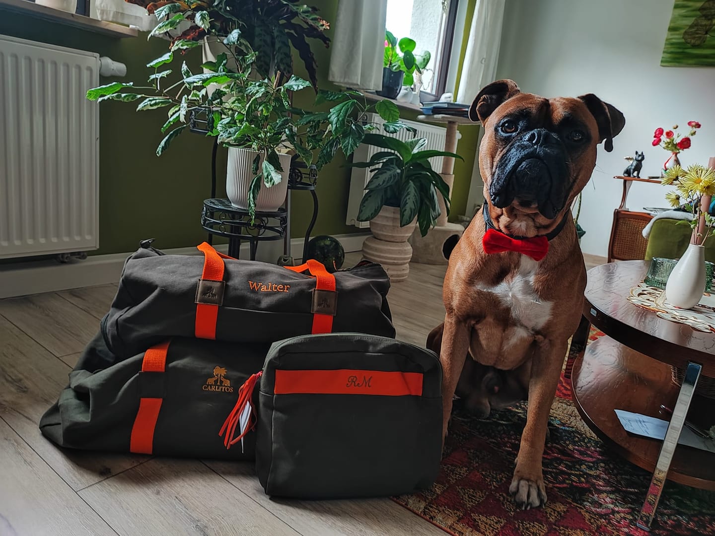 Customer photo review of Dufflebag -L- KHAKI mit orangenem Gurtband