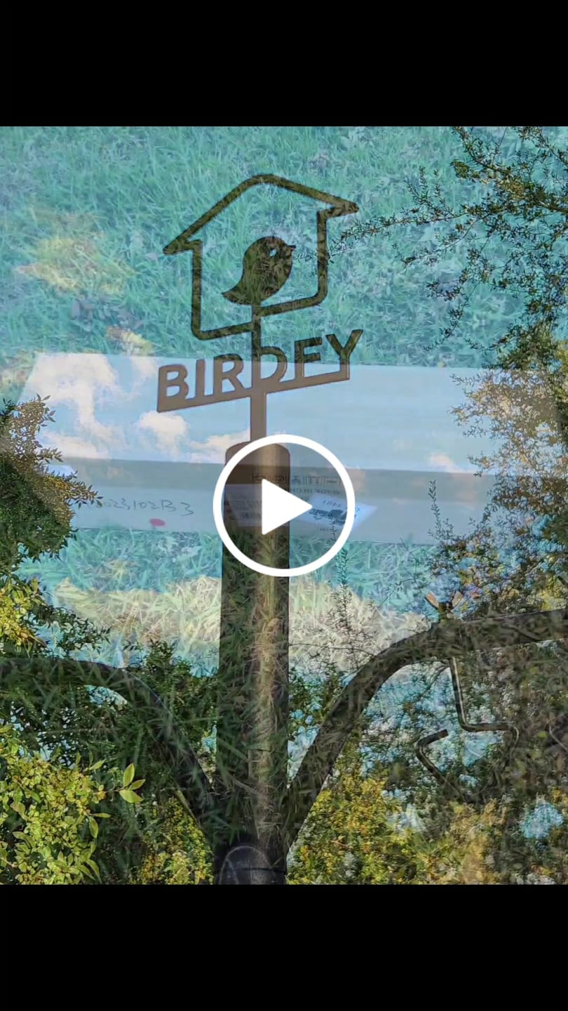 Customer video review of Birdfy Feeder Pole