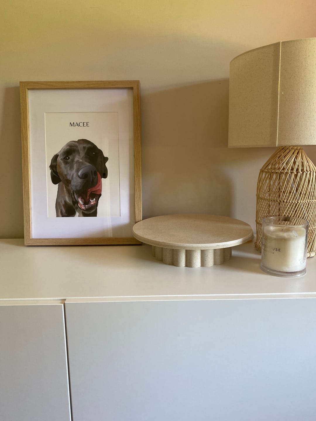 Customer photo review of One-Pet Portrait