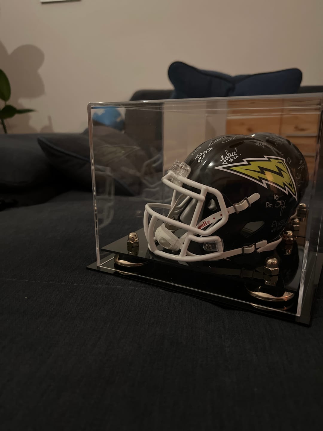 Customer photo review of Mini/Miniature Football Helmet (not Full Size) Display Case - Mirror no Wall Mounts (A003/V45)