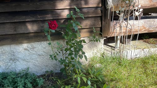 Customer photo review of Kompressionsstrümpfe "Bambus" Bunte Streifen