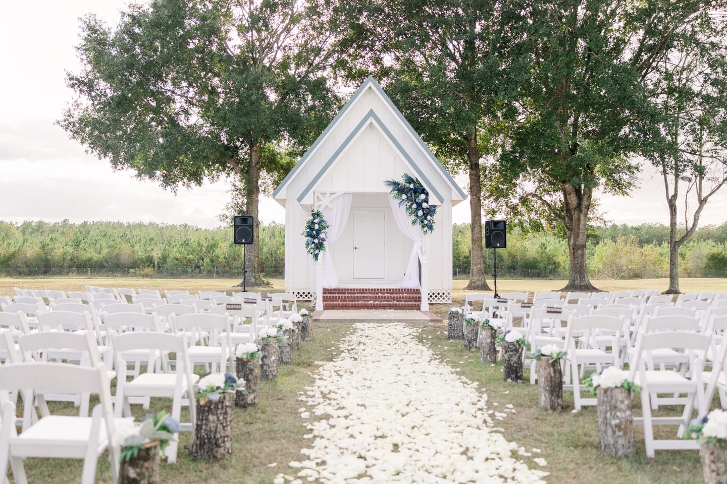 Customer photo review of White Rose Petals