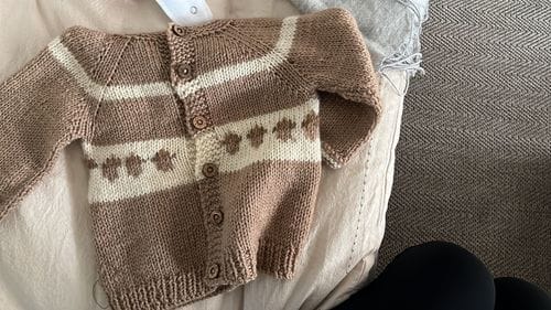Customer photo review of Clase Chaleco Rayitas | Mini