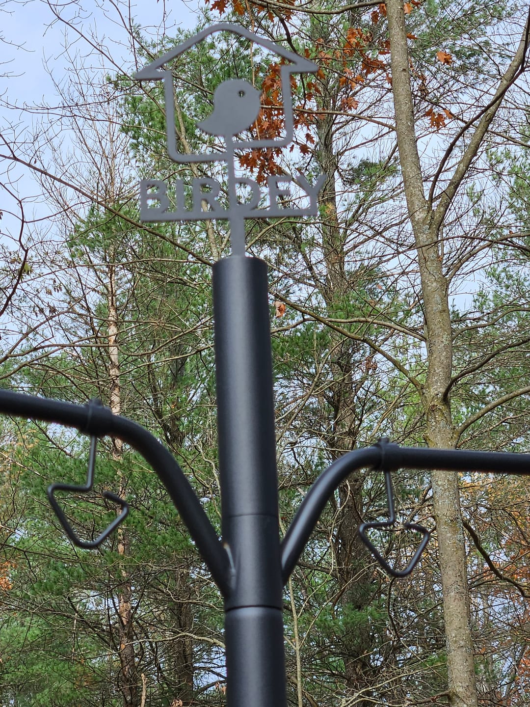 Customer photo review of Birdfy Feeder Pole