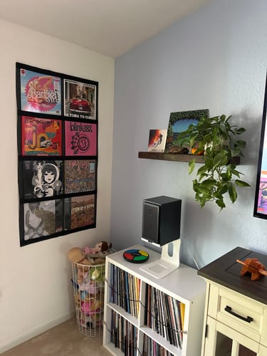 Customer photo review of 12" Vinyl Record Display Frame - LP Wall Storage