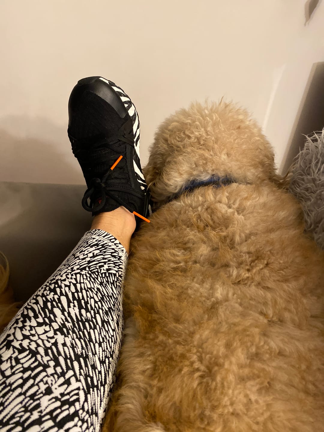 Customer photo review of Ultraboost 20 Graphic