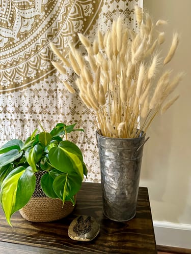 Customer photo review of French Garden Bucket