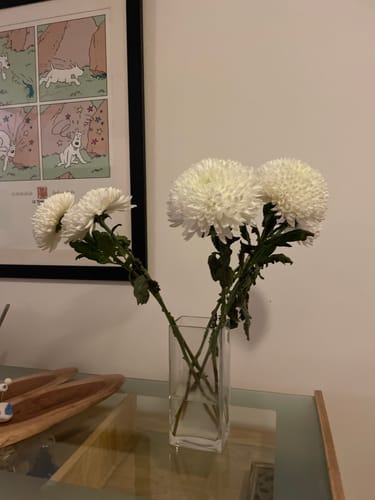 Customer photo review of Subscribe to Cut Flowers - PREMIUM