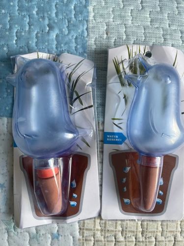 Customer photo review of Mon petit oiseau en terre cuite