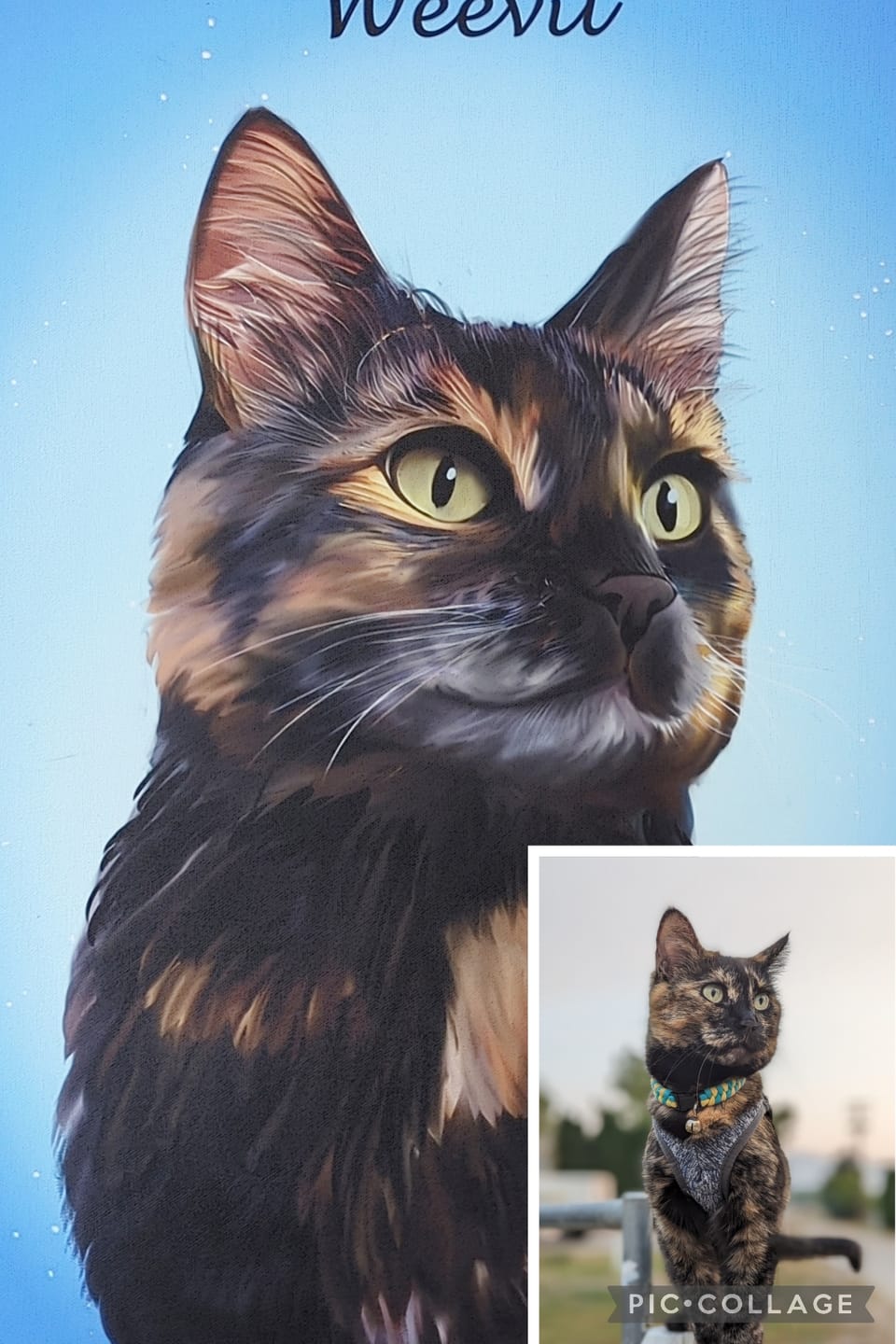 Customer photo review of Custom Pet Portrait - 1 Pet