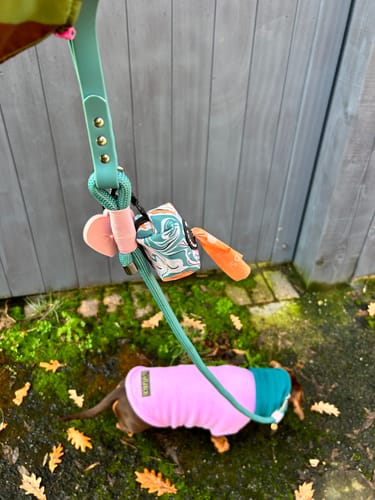 Customer photo review of 4ft Rope Lead - Teal and Pink