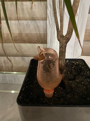 Customer photo review of Mon petit oiseau en terre cuite