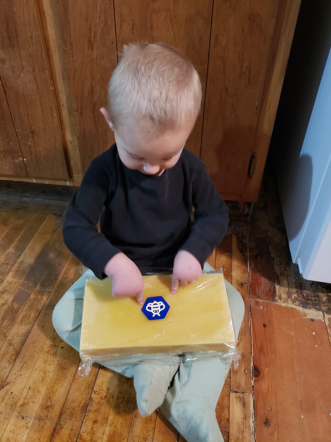 Customer photo review of Bulk Yellow Beeswax Blocks for Sale
