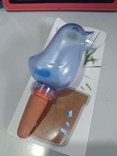 Customer photo review of Mon petit oiseau en terre cuite