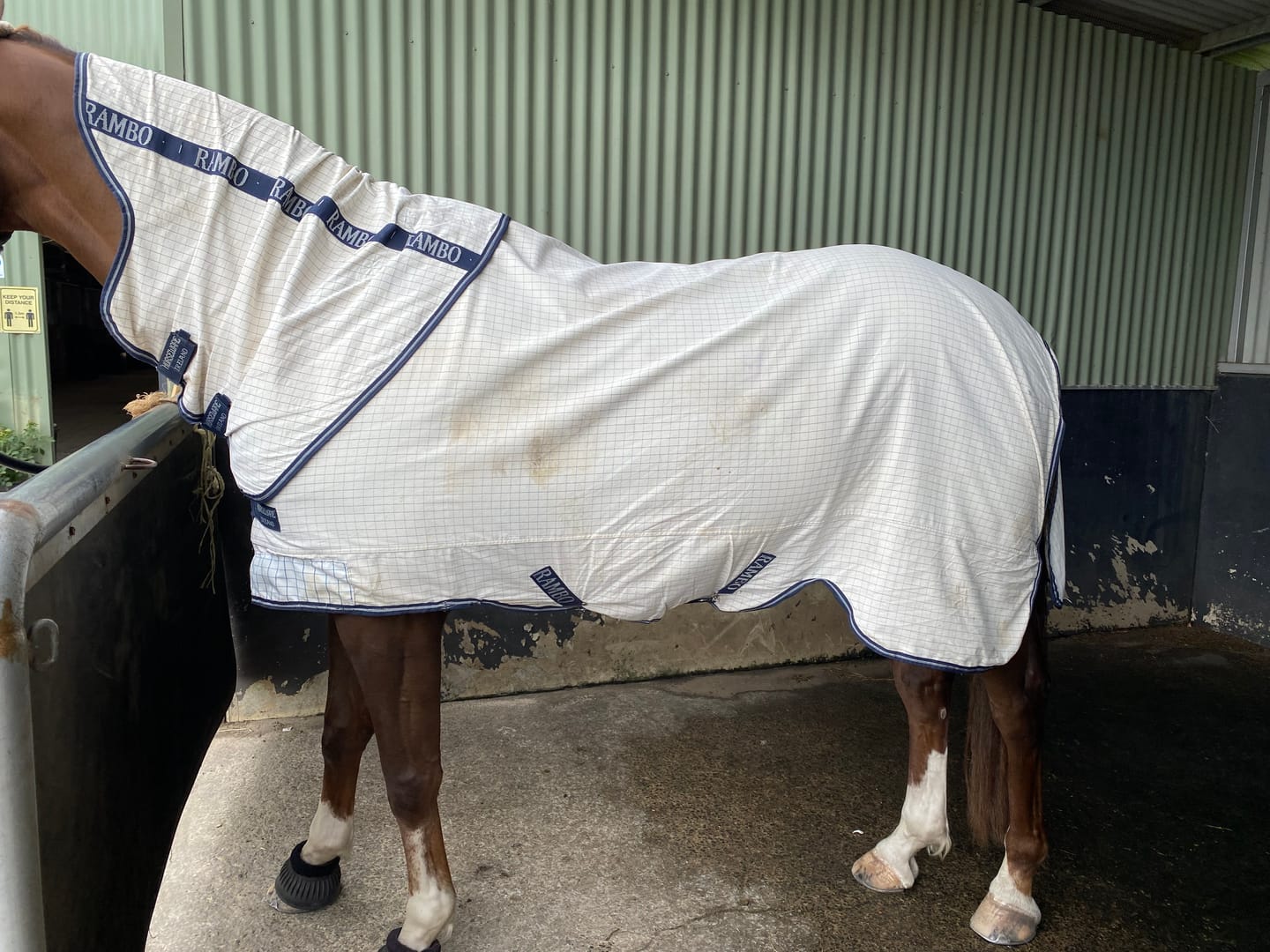 Customer photo review of Rambo Allrounder V-Front