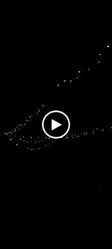 Customer video review of Litehouse Solar LED Fairy Lights - Warm White