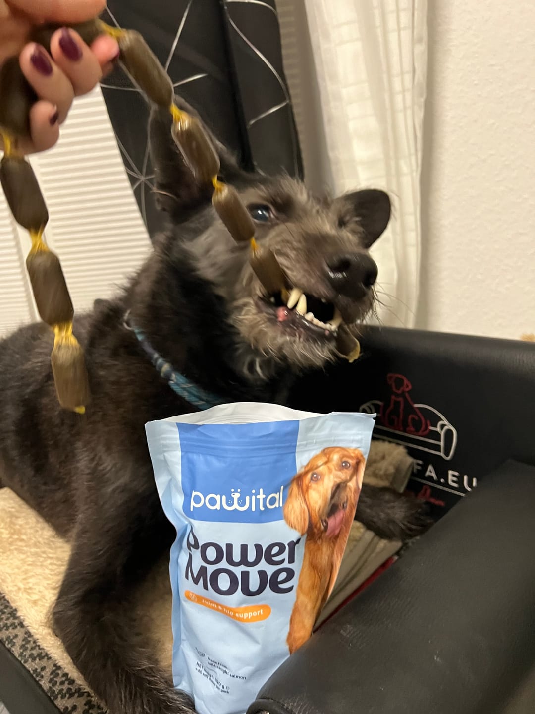 Customer photo review of Power Move