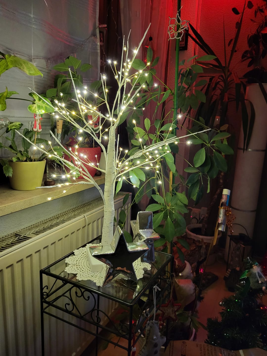 Customer photo review of Bäumlein® - 144 LEDs (Winter Edition)