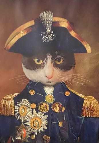 Customer photo review of Lord Nelson - Custom Vintage Pet Portrait