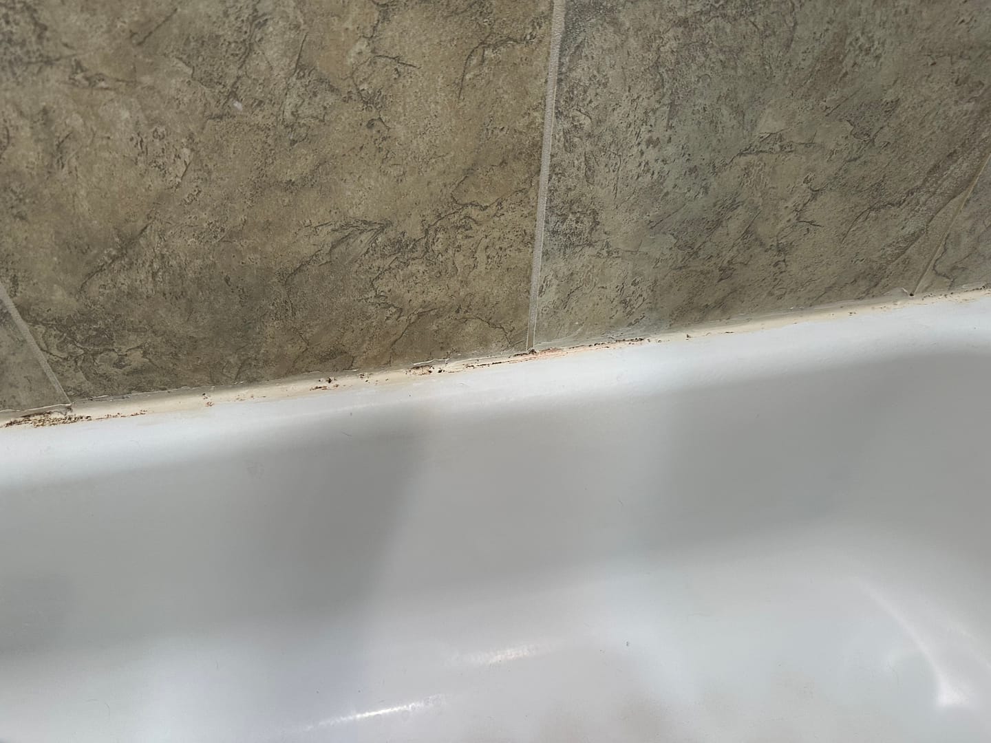 Customer photo review of GLASSGUARD™ Miracle Mold Removal Gel