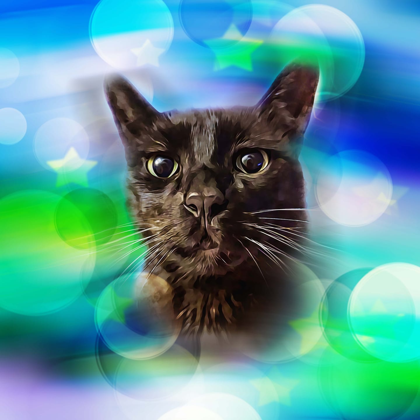 Customer photo review of Watercolor Pet Art - Pet Galaxy (PG)