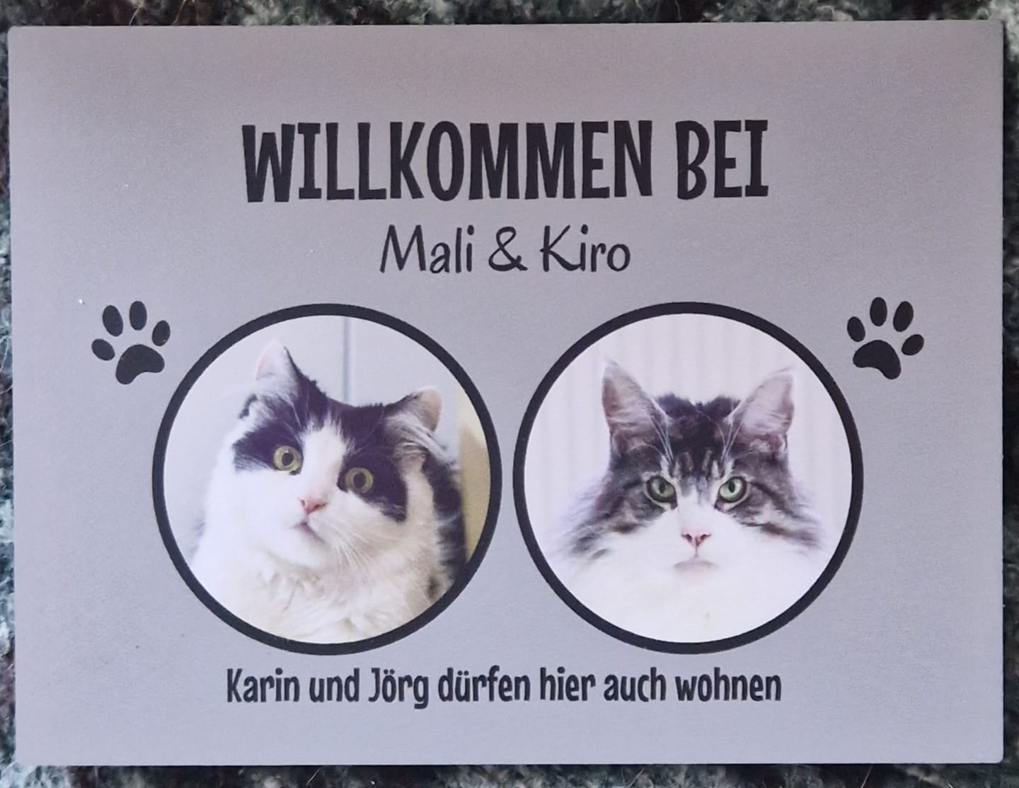 Customer photo review of Spähende Haustiere - Individuelles Türschild