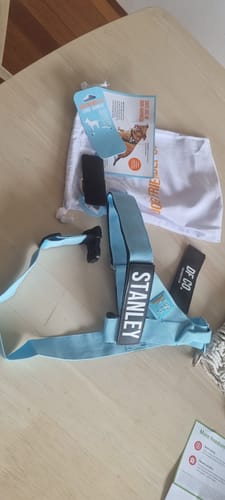 Customer photo review of Dog Harness | 35% Off