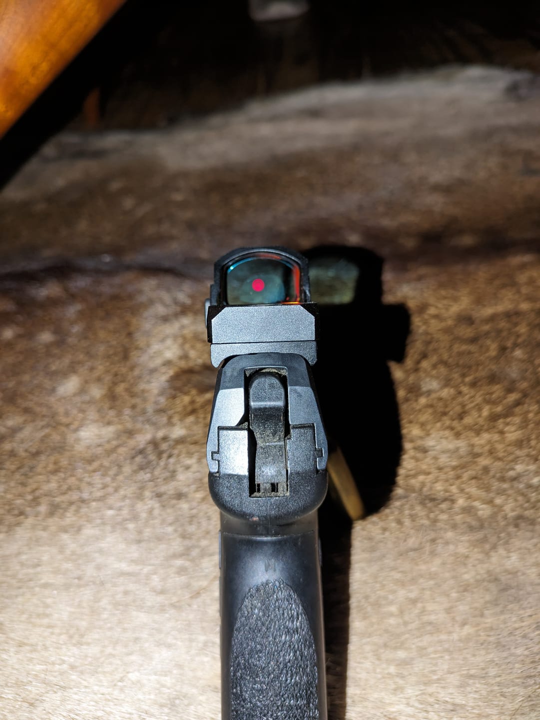 Customer photo review of Vector Optics SCRD-19II Frenzy 1x17x24