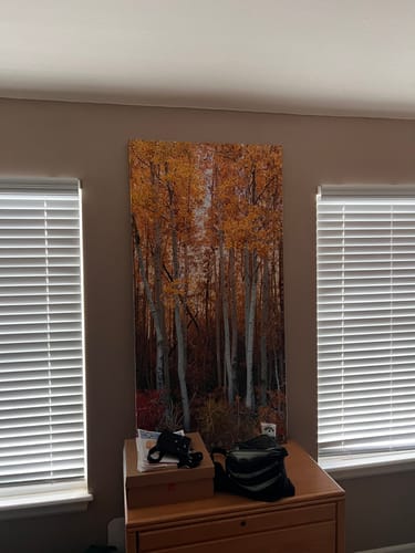Customer photo review of Create Your Own Canvas Set - Tall Portrait