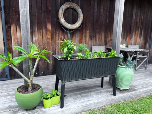 Customer photo review of Full Bloom Garden Bed - Graphite 120L